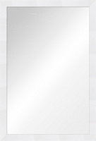 Зеркало в багете 690-03-SB 51х162 см